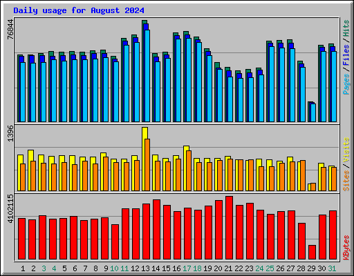 Daily usage for August 2024