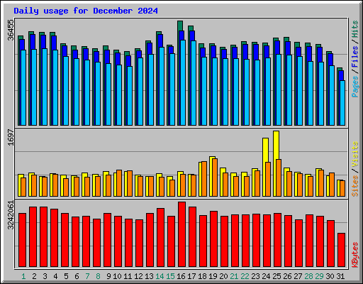 Daily usage for December 2024