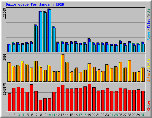 Daily usage for January 2026