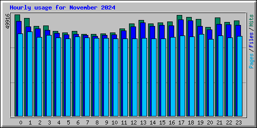 Hourly usage for November 2024