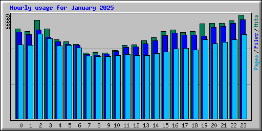 Hourly usage for January 2025