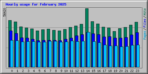 Hourly usage for February 2025