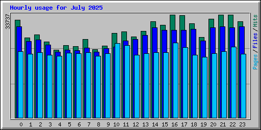 Hourly usage for July 2025