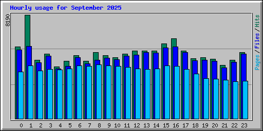 Hourly usage for September 2025