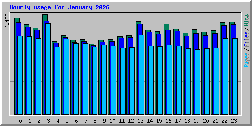 Hourly usage for January 2026