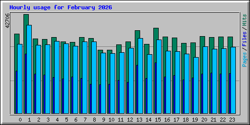 Hourly usage for February 2026