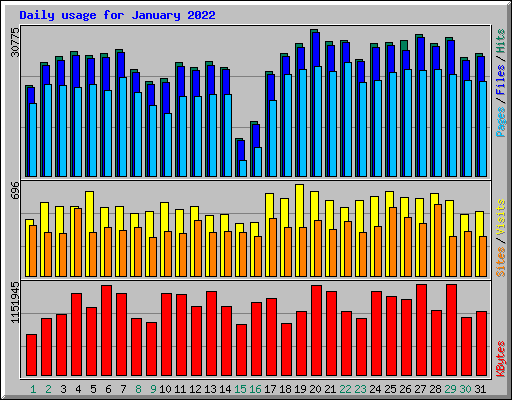 Daily usage for January 2022