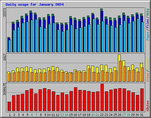 Daily usage for January 2024