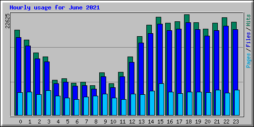 Hourly usage for June 2021