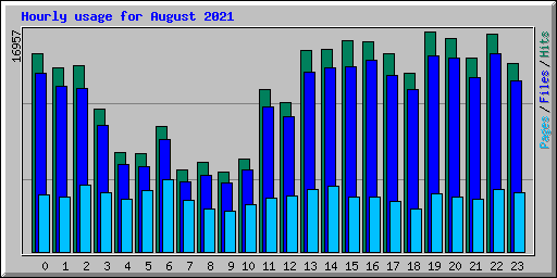 Hourly usage for August 2021