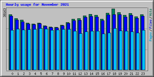 Hourly usage for November 2021