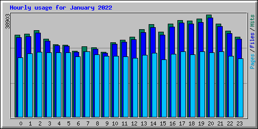 Hourly usage for January 2022