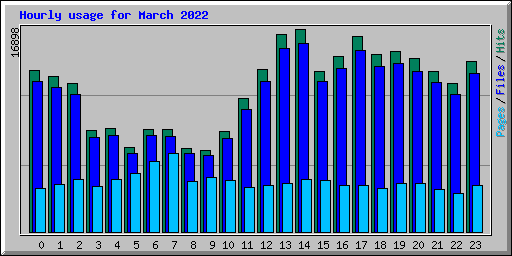 Hourly usage for March 2022