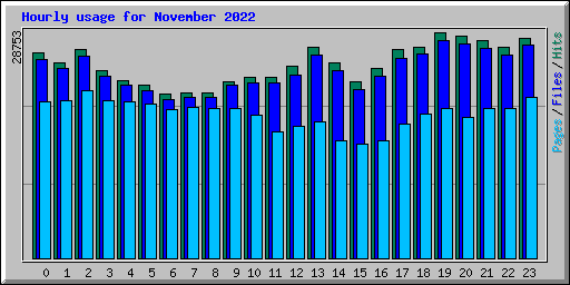 Hourly usage for November 2022