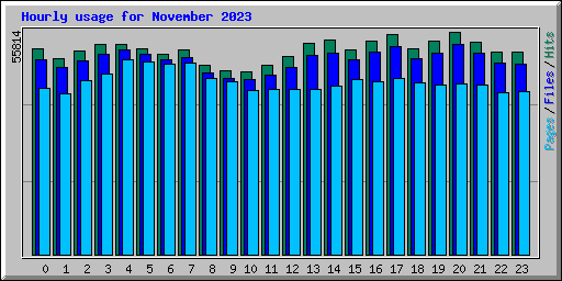 Hourly usage for November 2023