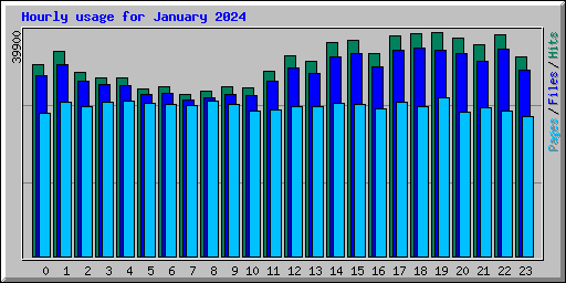 Hourly usage for January 2024