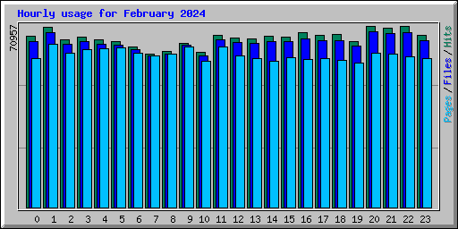 Hourly usage for February 2024