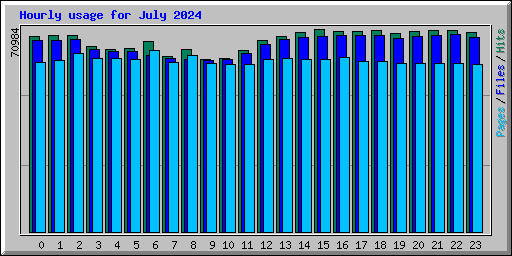 Hourly usage for July 2024