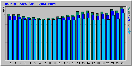 Hourly usage for August 2024