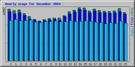 Hourly usage for December 2024