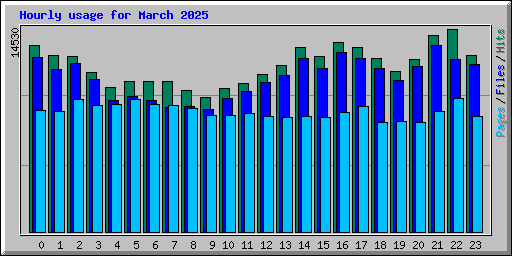 Hourly usage for March 2025