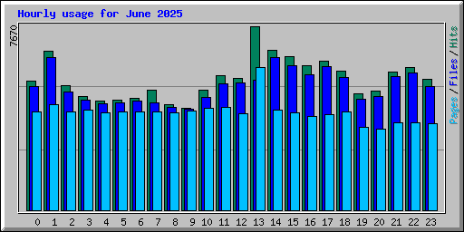Hourly usage for June 2025