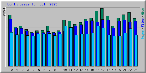 Hourly usage for July 2025