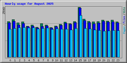 Hourly usage for August 2025