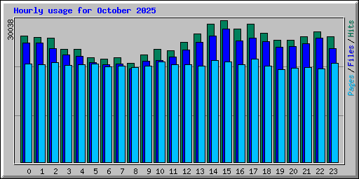 Hourly usage for October 2025