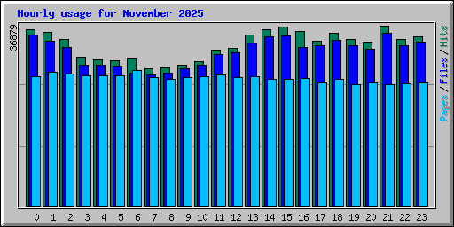 Hourly usage for November 2025