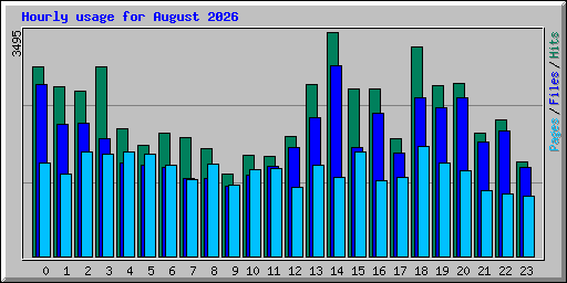 Hourly usage for August 2026