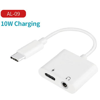 TYPE-C ADAPTERS