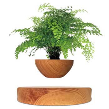 Magnetic Suspension Flowerpot