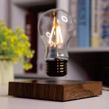 Magnetic Suspension Wood Grain Light Bulbs