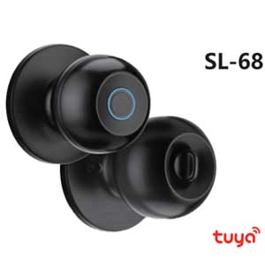 Smart Door Lock
