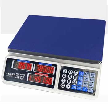 Digital Display Precision Scale